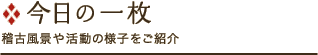 今日の一枚〈稽古風景や活動の様子をご紹介〉